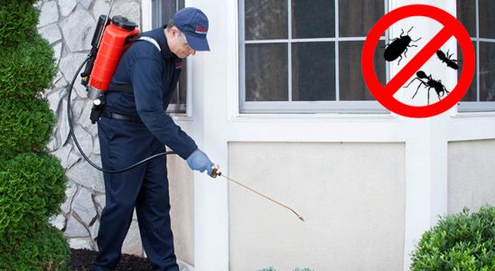 Seydikemer Böcek ve Haşere İlaçlama böcek ilaçlama ve haşere kontrolü — ilaclama-tr.com